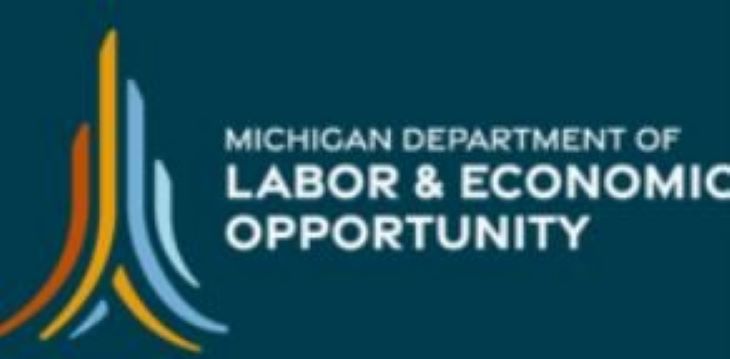 Visit www.michigan.gov/leo/bureaus-agencies/ber!